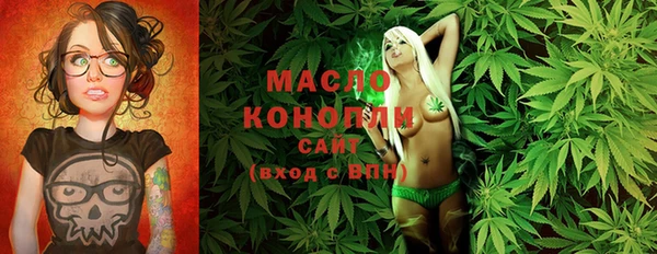 молекула духа Осинники