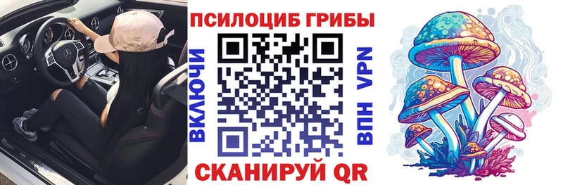 мега ссылки  Хотьково  Псилоцибиновые грибы Psilocybe 